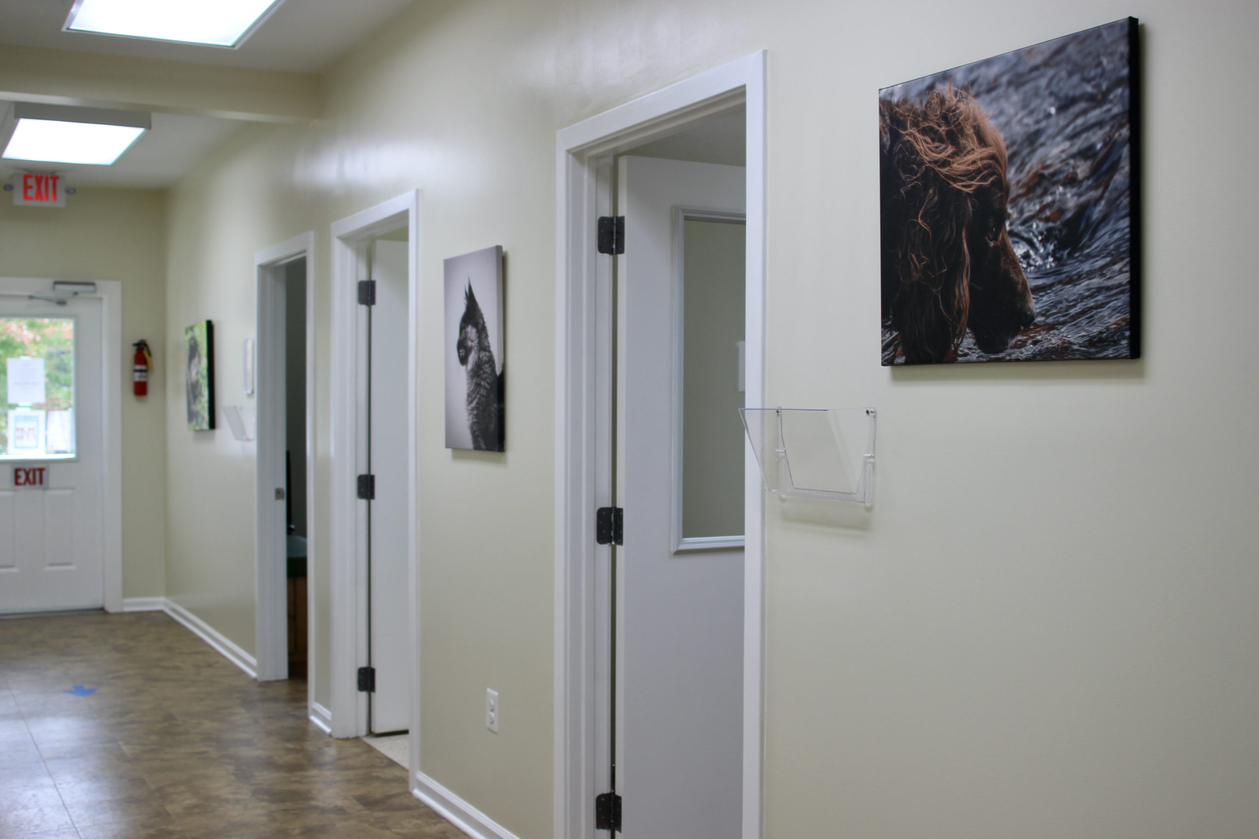 Main Hallway