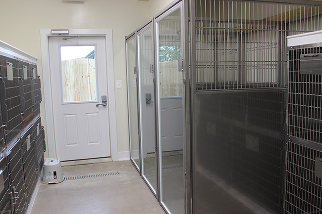 Kennel